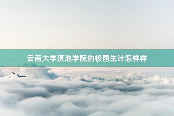 云南大学滇池学院的校园生计怎样样