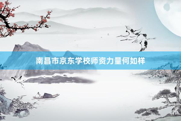 南昌市京东学校师资力量何如样